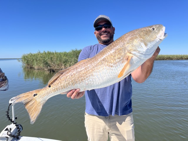 Man holding a large redfish on a boat, blue skies, marsh background.